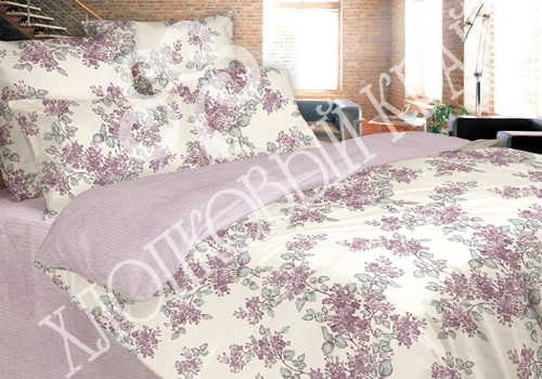 Violetta 1